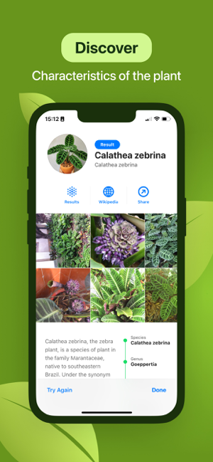 ‎Leaf Identification Screenshot