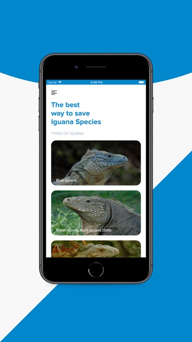E-guana Screenshot