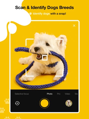 Dog scanner - Dog Breed IDのおすすめ画像2