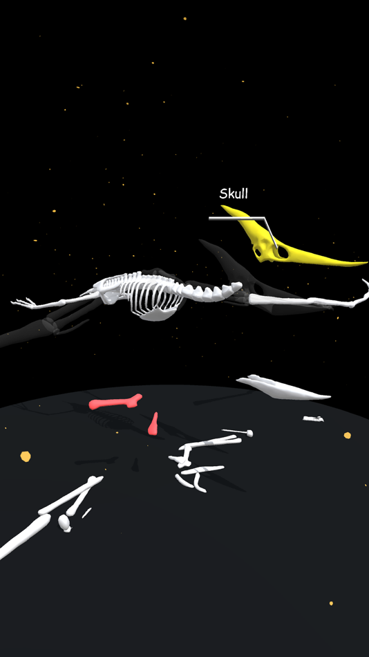 #3. Assemble Skeleton (iOS) 由: Artur Zhyvkovych