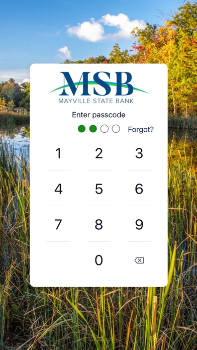 Mayville State Bank Screenshot