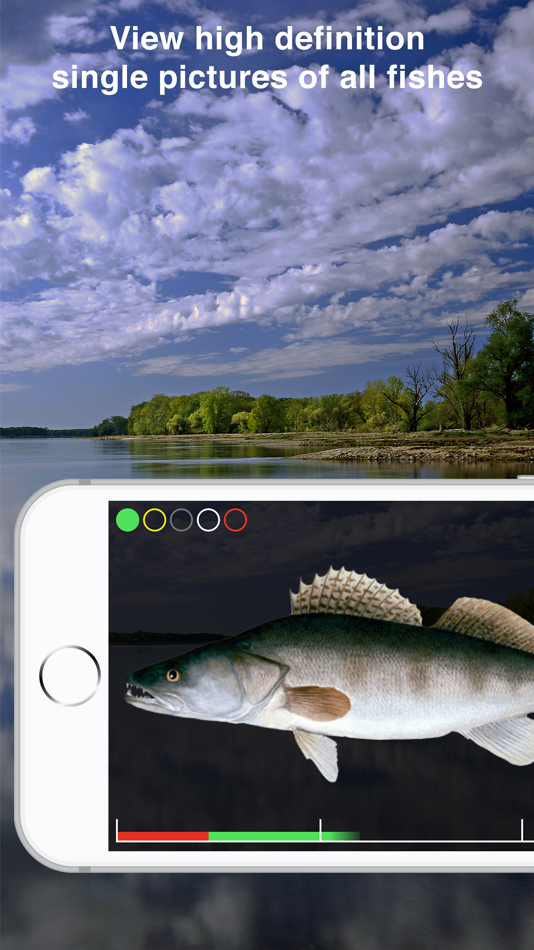#4. Fishguide Brandenburg (iOS) 由: Robin Schaefer