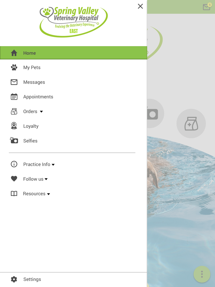 Spring Valley Vet East