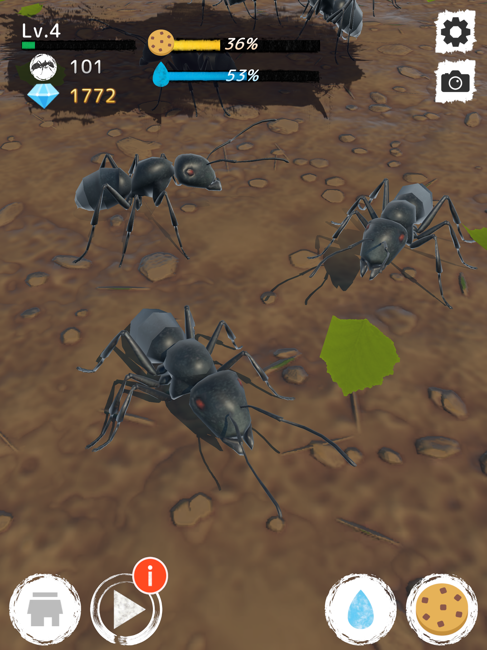 Ant Garden