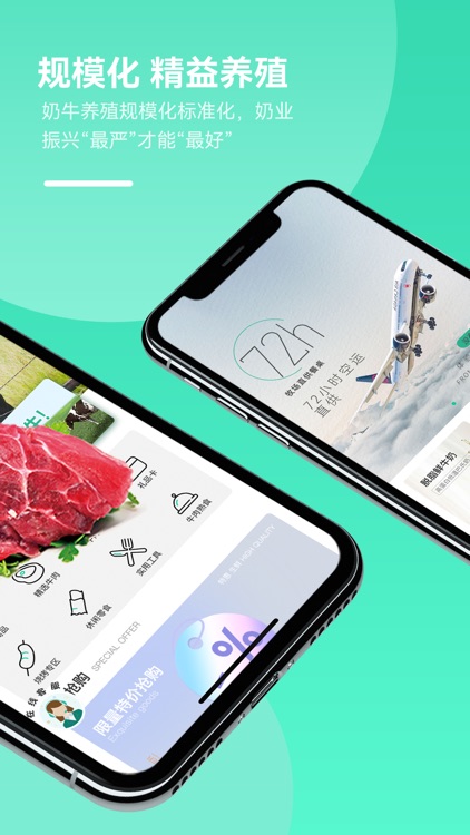 全民养牛-人人都吃真牛排