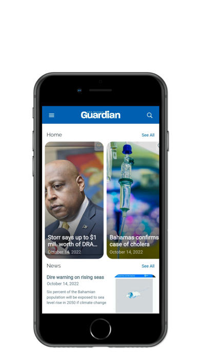 The Nassau Guardian Ltd Screenshot
