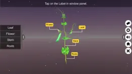 learn parts of a plant problems & solutions and troubleshooting guide - 4