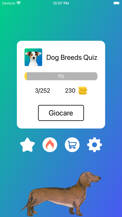 Razze di Cani: Foto-Quiz, Test