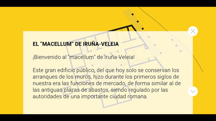 Arkikus – Iruña-Veleia
