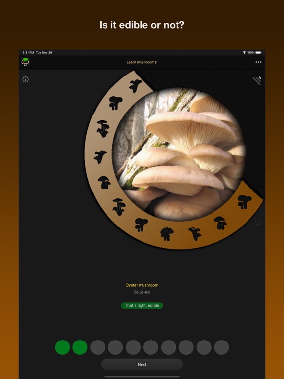 Screenshot #5 pour Learn Forest Mushrooms