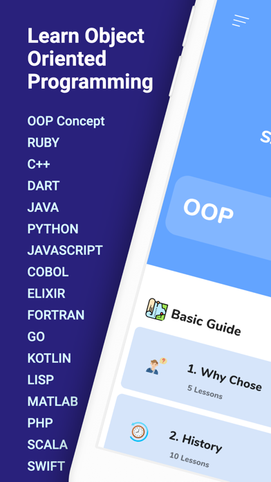 Learn OOP Programming 2022 Screenshot