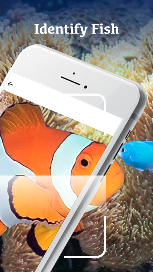 #2. Fish Identification by Picture (iOS) 由: Nam Nguyen Sy