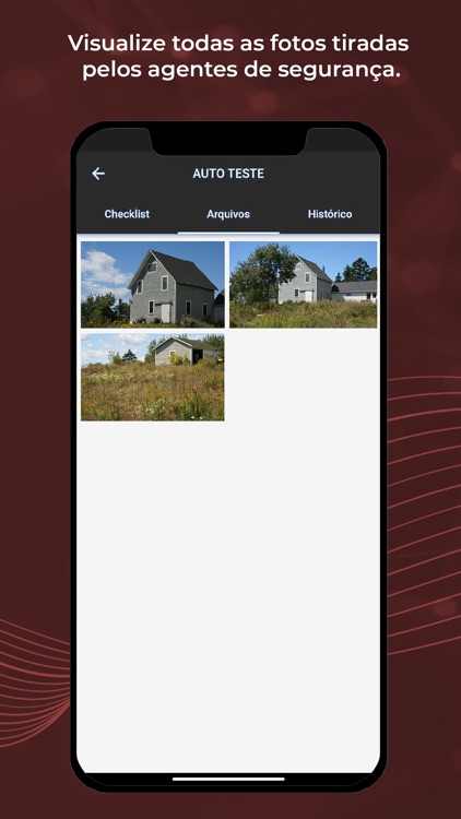 Lions Segurança screenshot-5