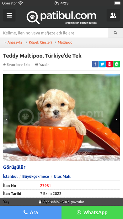 Patibul Screenshot