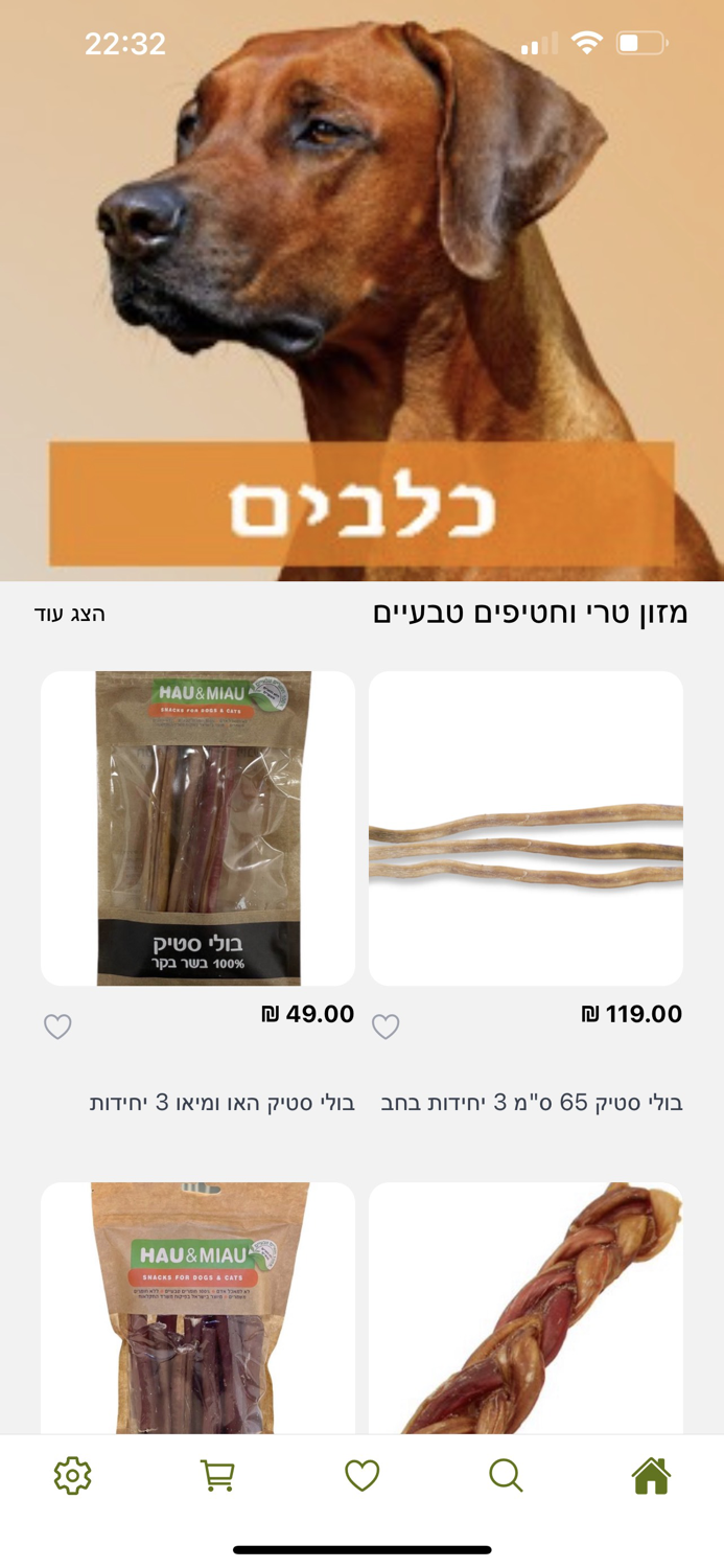 קן התוכי