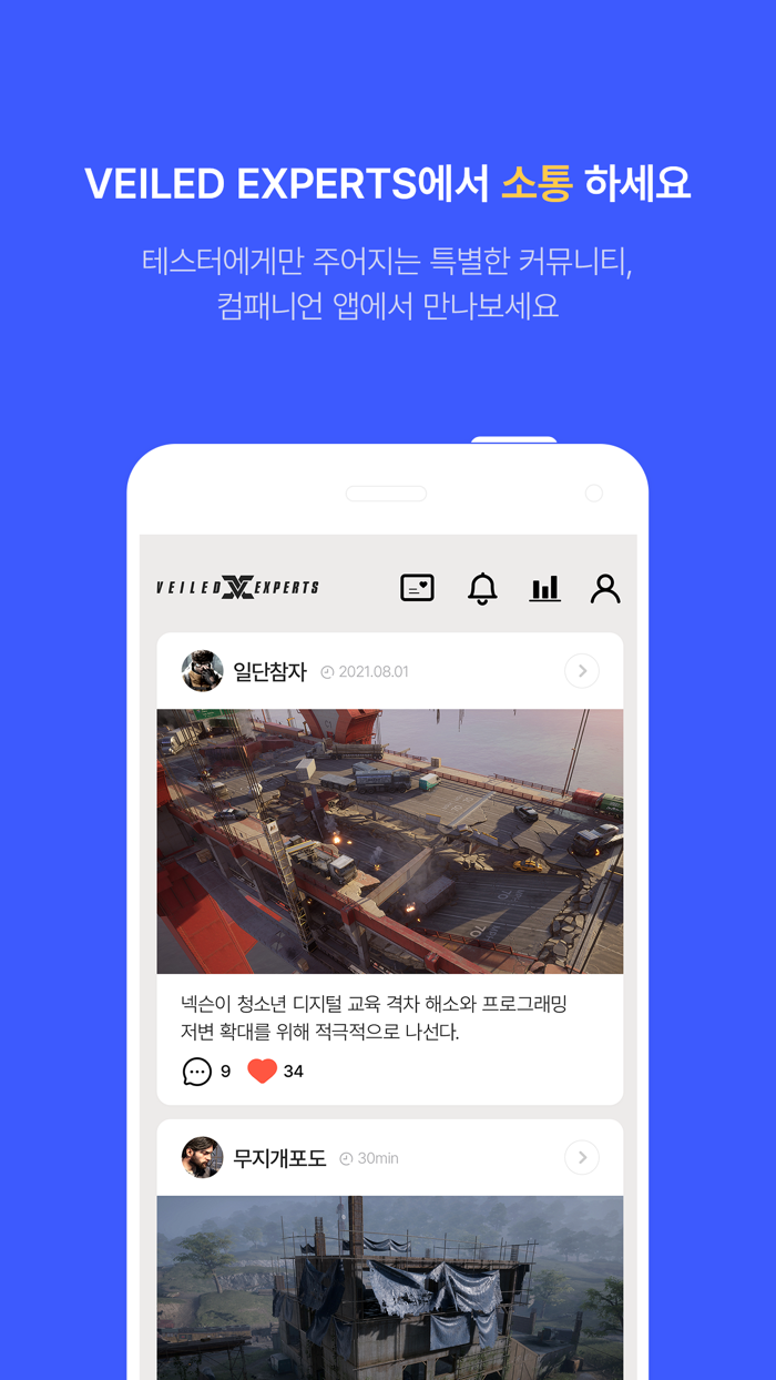 Veiled Experts Companion