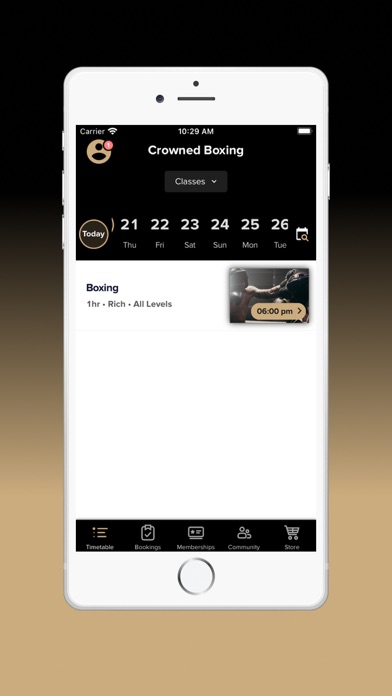 Crowned Boxing Screenshot