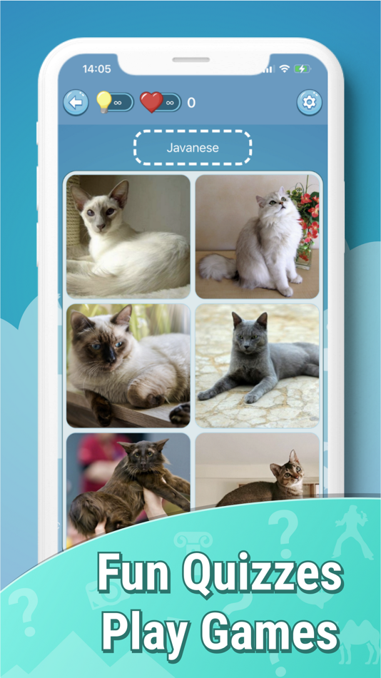 #6. Quiz guess all cute cat breeds (iOS) Podle: Mariya Shestakova