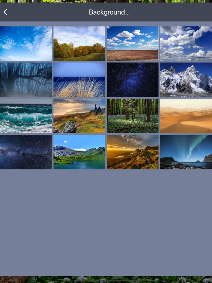 Visual Timer for Kids