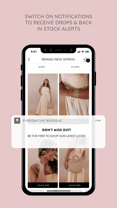 Everyday Chic Screenshot