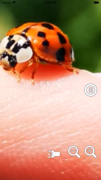 Magnifying Glass Pro2 - Loupe Screenshot
