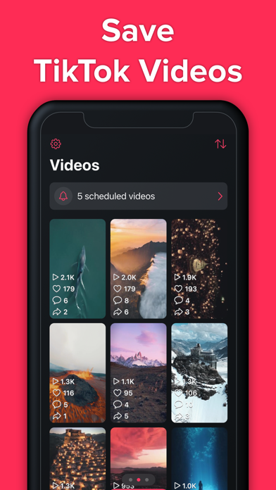 TikSave - Save TikTok Video Screenshot