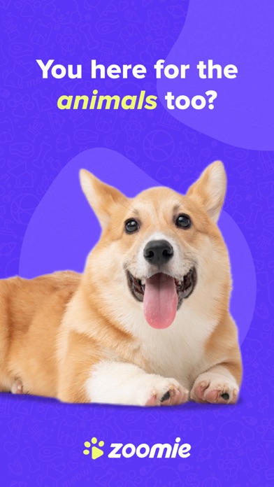 Zoomie - Animal Short Videos Screenshot