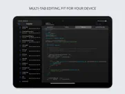 code editor - compiler & ide айпад изображения 3