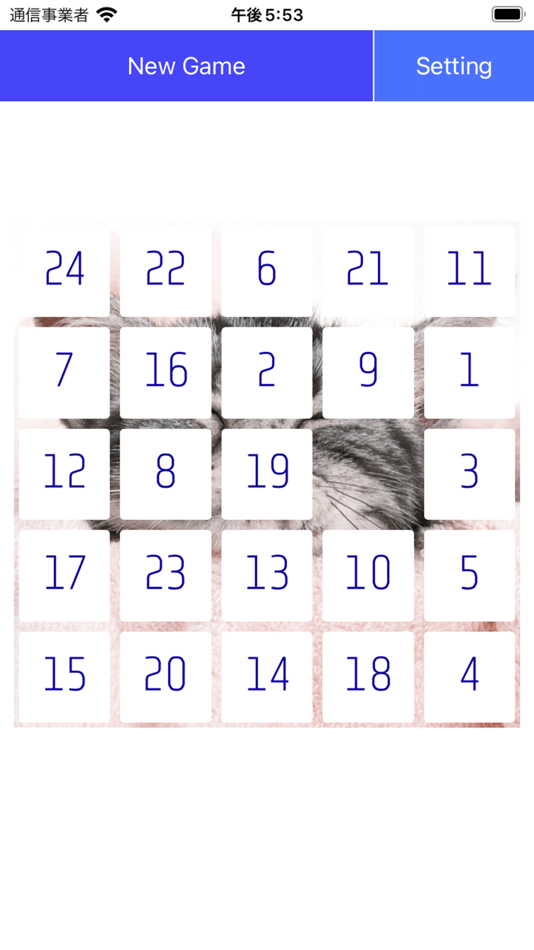 #3. Twenty Five Puzzle (iOS) By: akira ohmachi