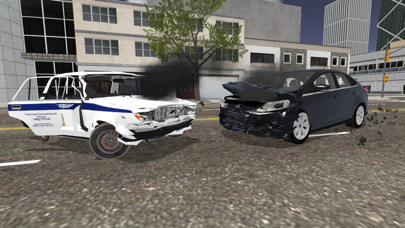 Universal Car Driving - LITE Screenshot