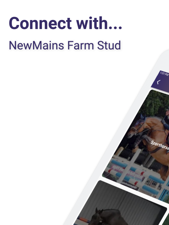 Screenshot #4 pour NewmainsFarmStud