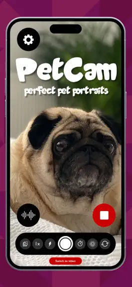 Game screenshot PetCam - Perfect Pet Portraits mod apk