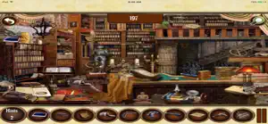 Real & Pure Hidden Objects screenshot #2 for iPhone