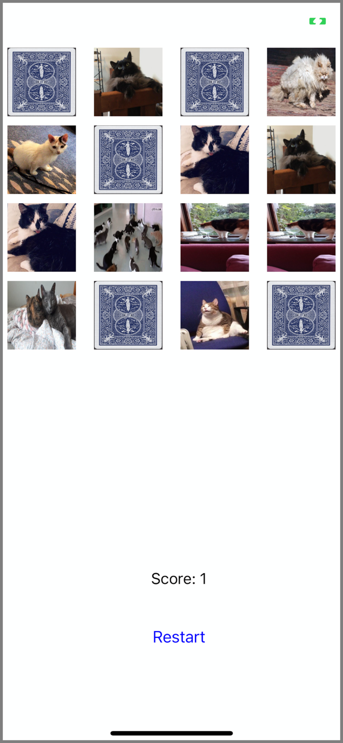 Memory Training Cats