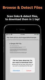 blaze : browser & file manager iphone screenshot 1