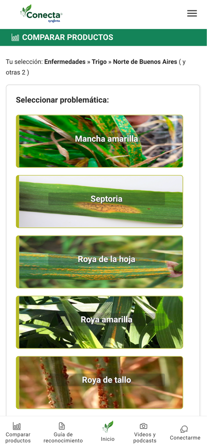 Conecta Syngenta