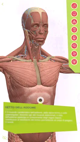 Game screenshot Anatomia Super apk