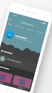 learn jquery offline [pro] iphone screenshot 2