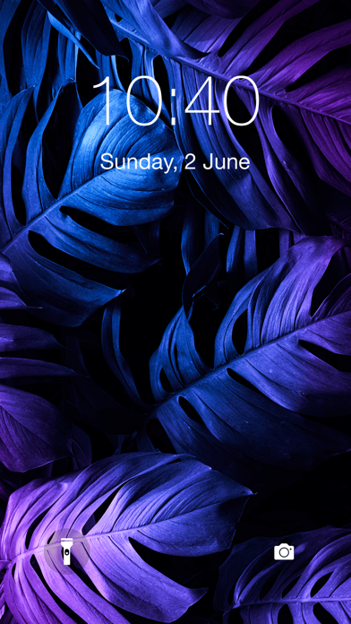 HD Wallpapers & Themes Design Screenshot