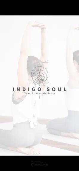 Game screenshot Indigo Soul Wellness mod apk