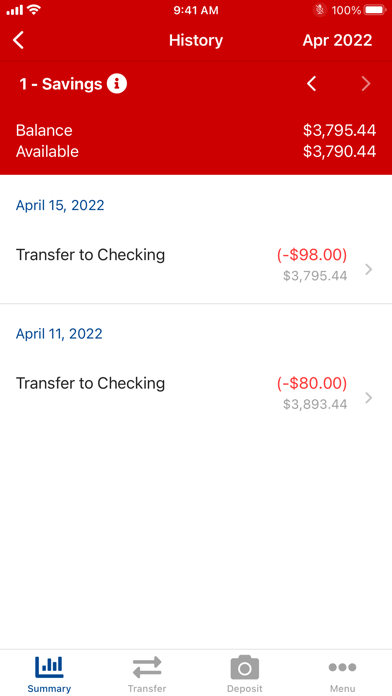 Niagara's Choice Credit Union Screenshot