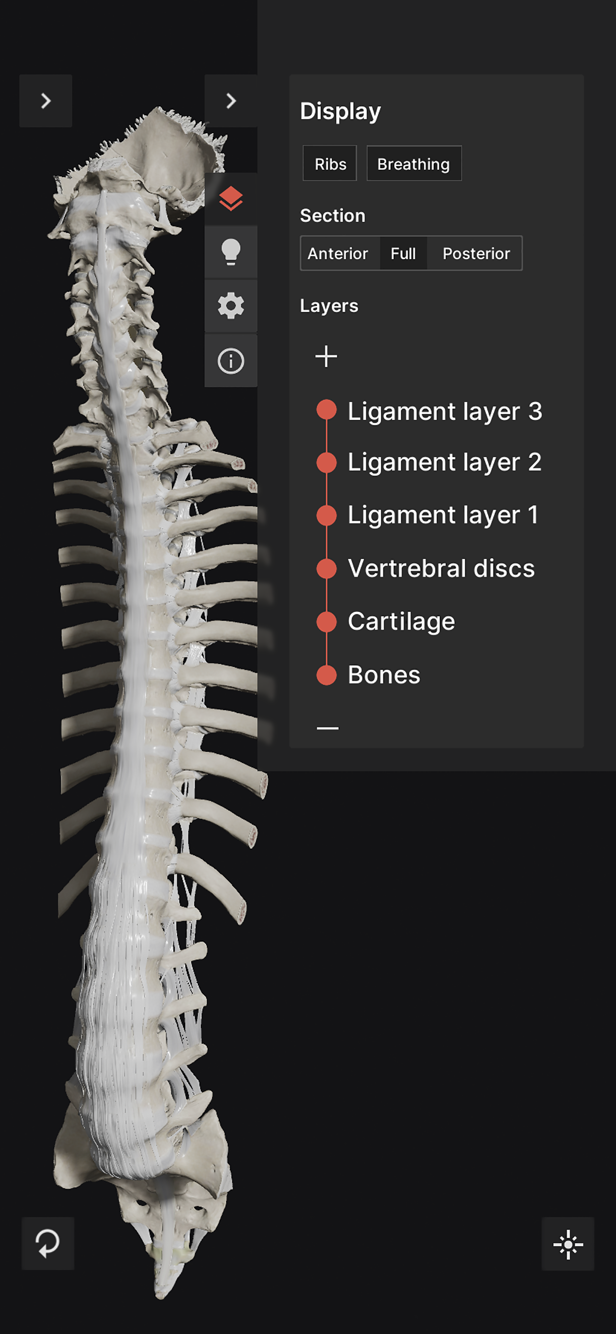 Biomechanics of the Spine Lite