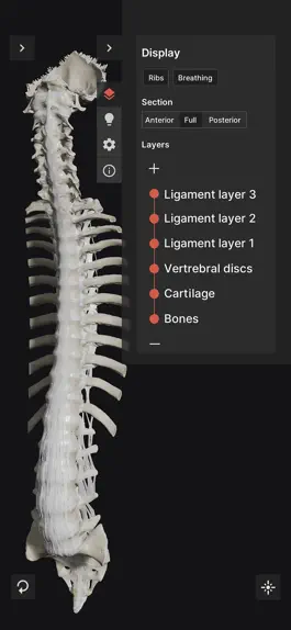 Game screenshot Biomechanics of the Spine Lite mod apk