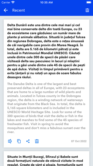 Romanian English Translator Screenshot