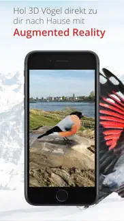 vogelführer birdlife schweiz iphone screenshot 4