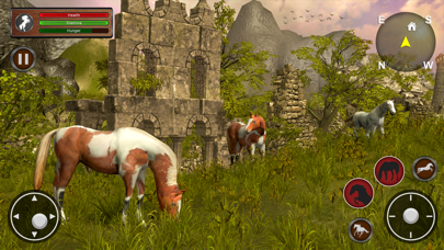 Wild Horse Simulator 3D Screenshot