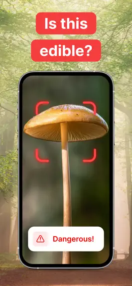 Game screenshot Mushroom Identification! hack