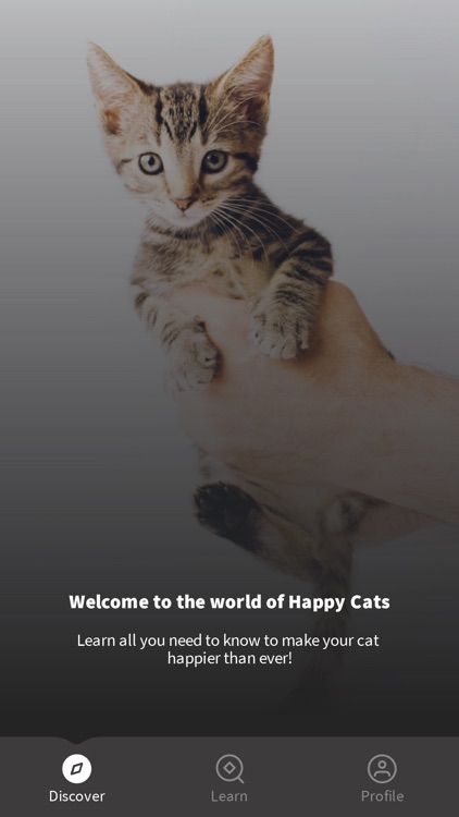 IloveHappyCats