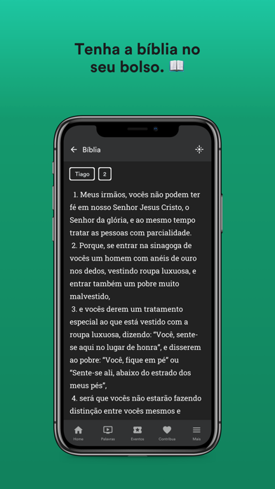 IP Raízes Screenshot