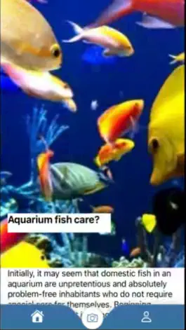 Game screenshot Fish Identifier & Verify App mod apk